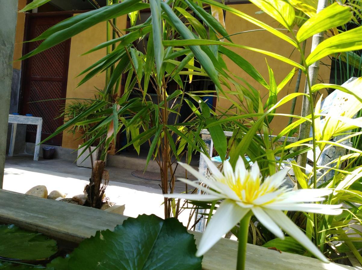 Cycling Backpacker Hostel & Cafe 乌纳瓦图纳 外观 照片