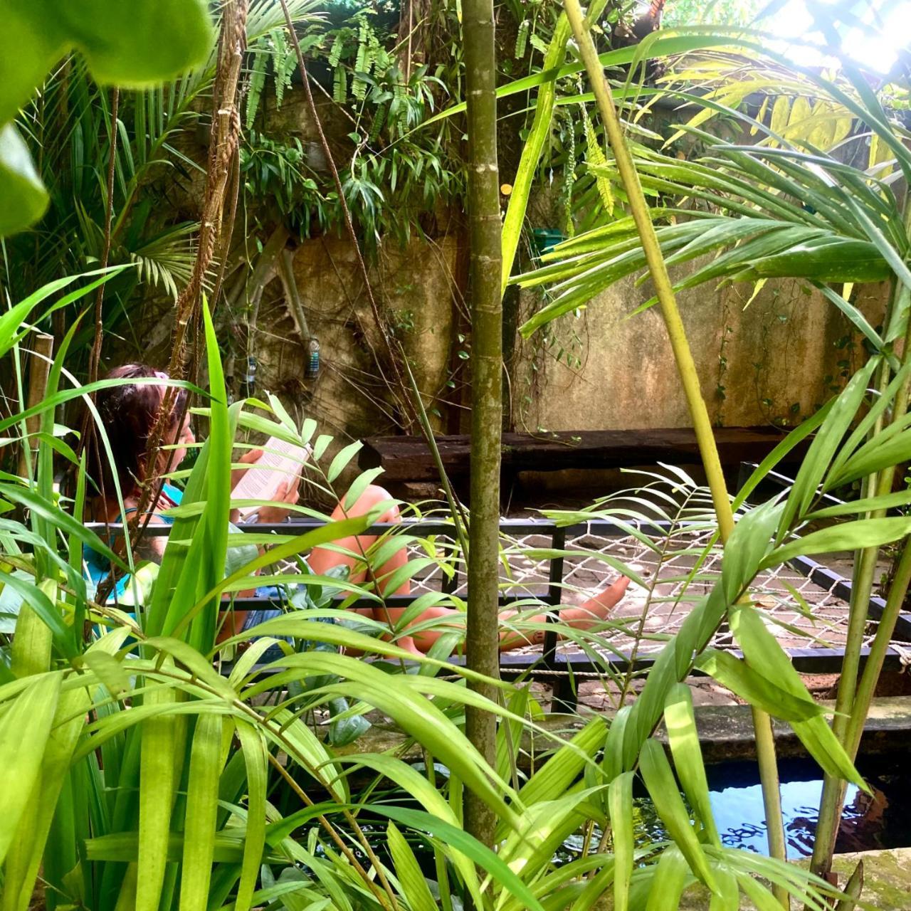 Cycling Backpacker Hostel & Cafe 乌纳瓦图纳 外观 照片
